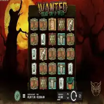 Wanted Dead or Wild spela